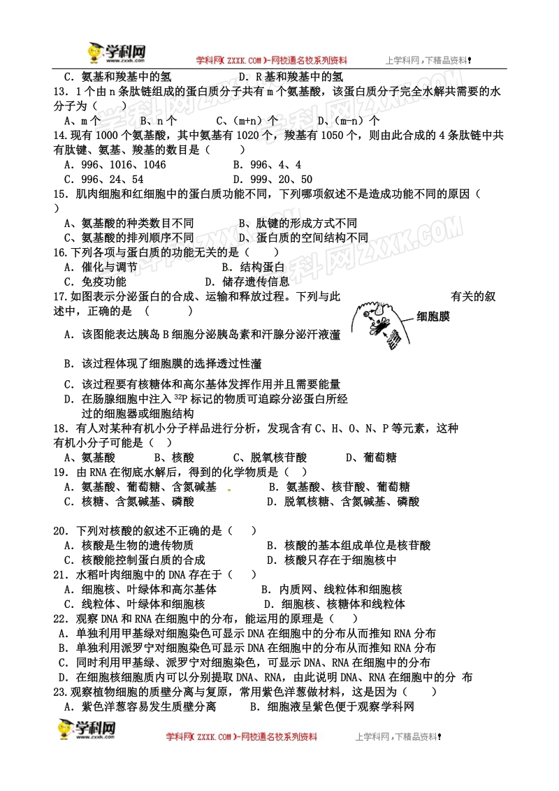 山东省淄博市淄川第一中学2015-2016届高一上学期期中考试生物试题.doc_第2页