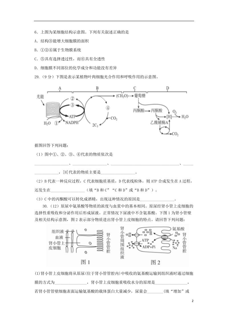 四川省遂宁市射洪县2018年高三生物上学期复习班暑期补习效果检测试题.doc_第2页