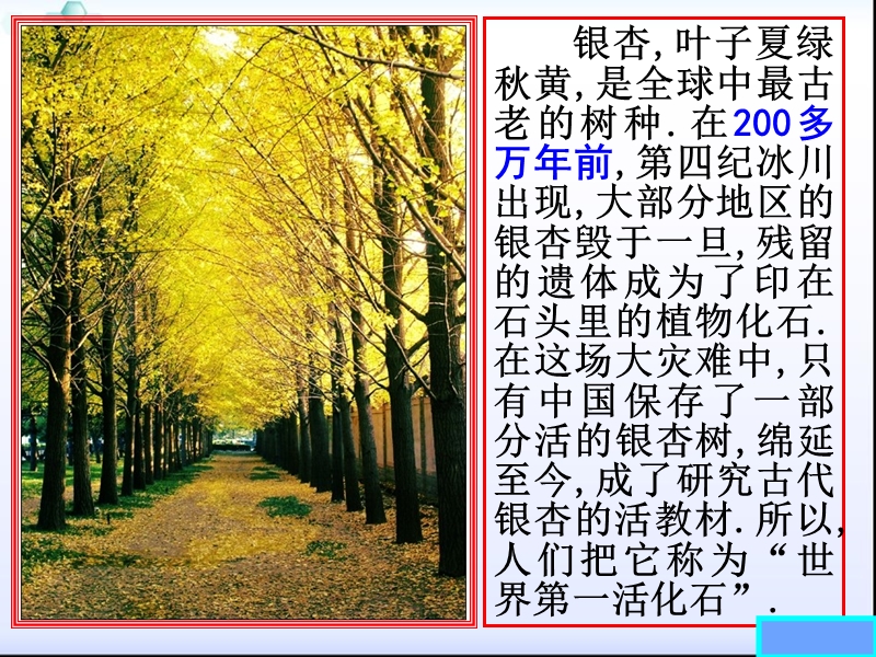 山东地区 人教a版高一数学《指数与指数幂的运算》课件.ppt_第2页