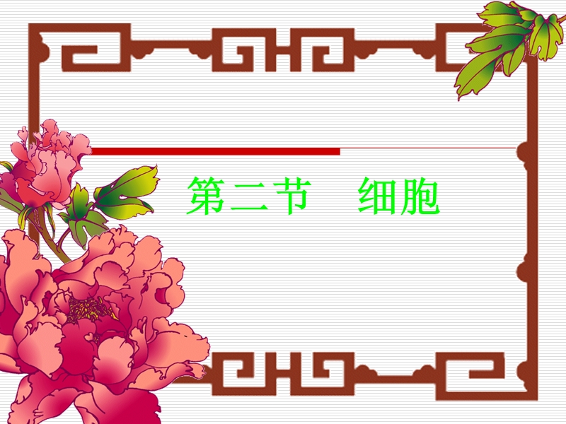 细胞（6 4张ppt）.ppt_第1页