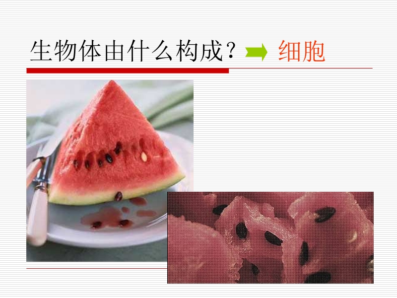 细胞（6 4张ppt）.ppt_第2页