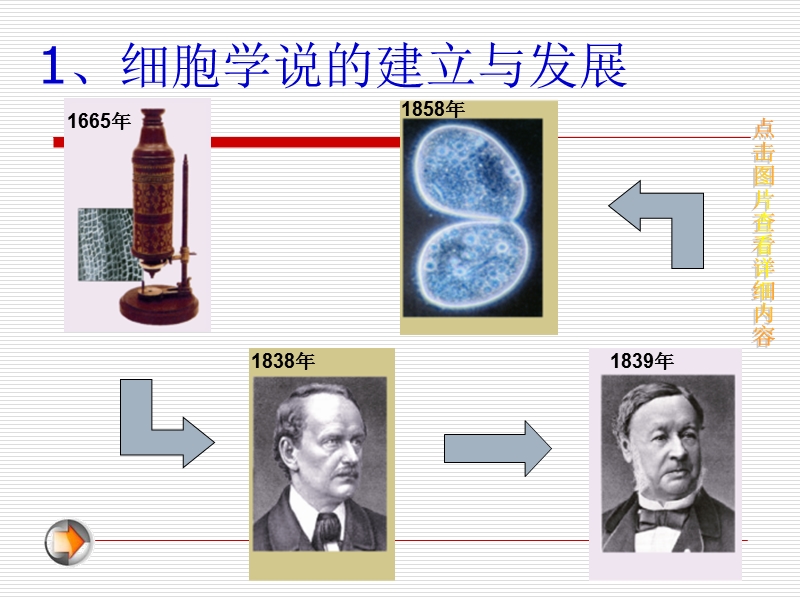 细胞（6 4张ppt）.ppt_第3页