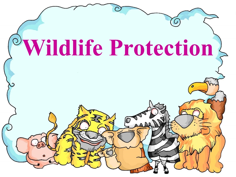 《wildlifeprotection》课件1（新人教必修2）.ppt_第1页