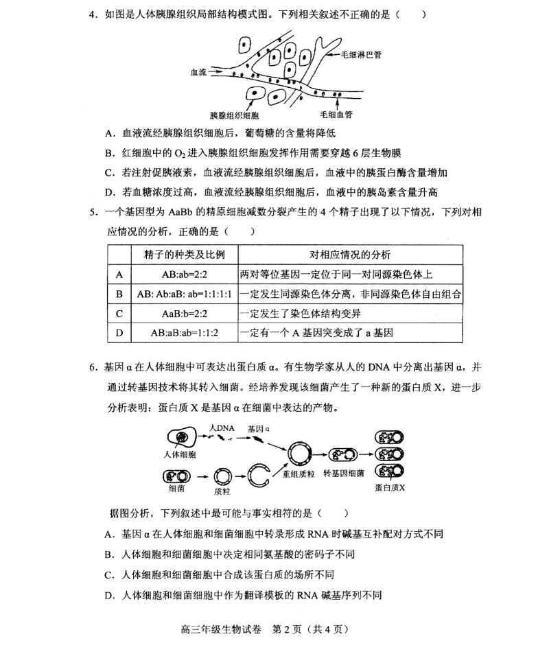 天津市和平区2016届高三第二次模拟考试生物试题（pdf版）.pdf_第2页