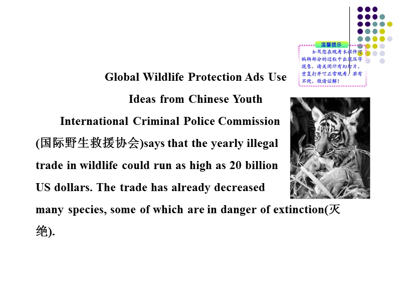 英语：unit4《wildlife protection》1（新人教版必修2）.ppt_第3页