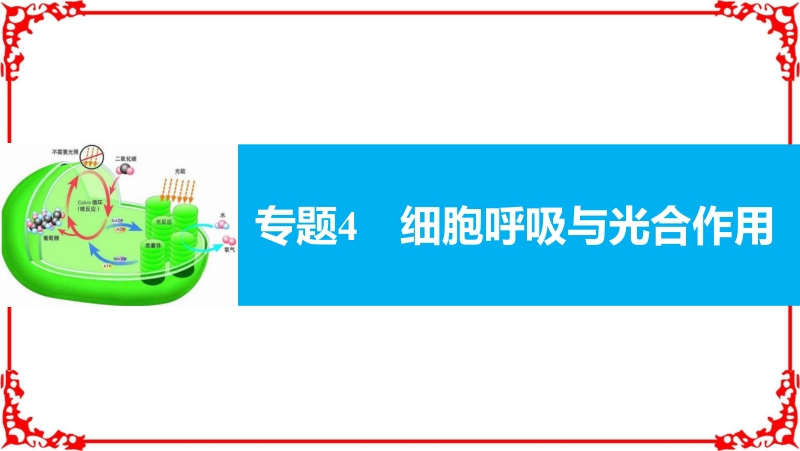 2017步步高大二轮专题复习与增分策略(通用版生物)课件专题4细胞呼吸与光合作用.pptx_第1页