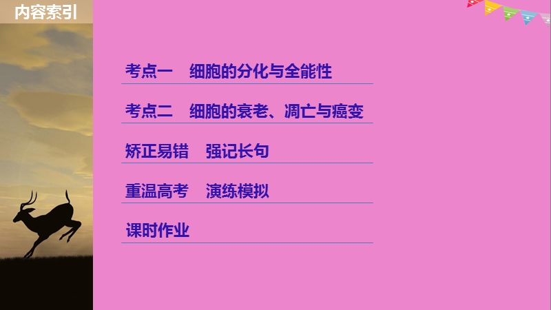 2019版生物高考大一轮复习 第四单元 细胞的生命历程 第13讲 细胞的分化、衰老、凋亡与癌变课件 北师大版.ppt_第3页