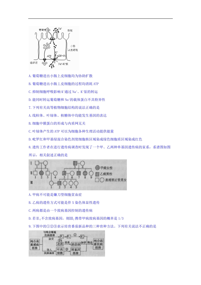 江苏省姜堰中学2018届高三下学期期初考试生物试题 word版含答案.doc_第2页