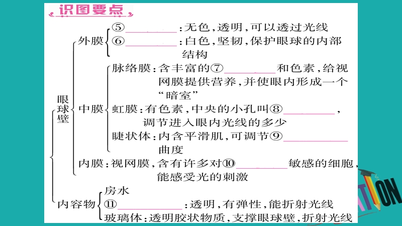 2018中考生物总复习 教材考点梳理 七下 第4单元 第6、7章课件 新人教版.ppt_第3页