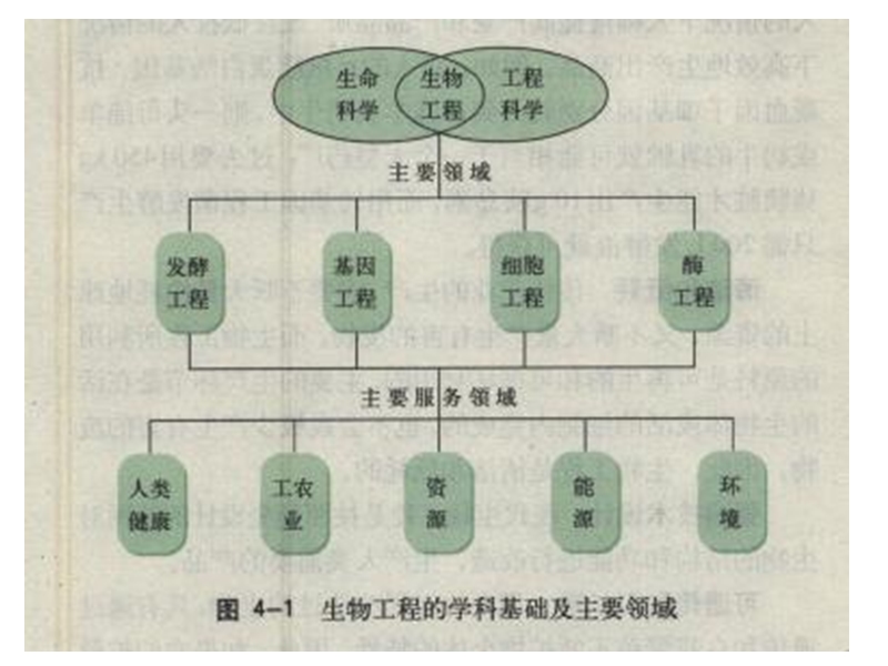 41生物工程概述42细胞工程.ppt_第2页