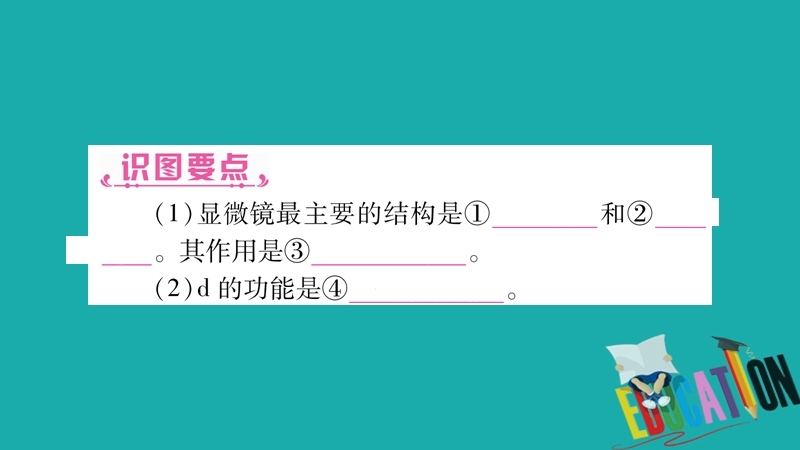 2018中考生物总复习 教材考点梳理 七上 第2单元 第1章 细胞是生命活动的基本单位课件 新人教版.ppt_第3页