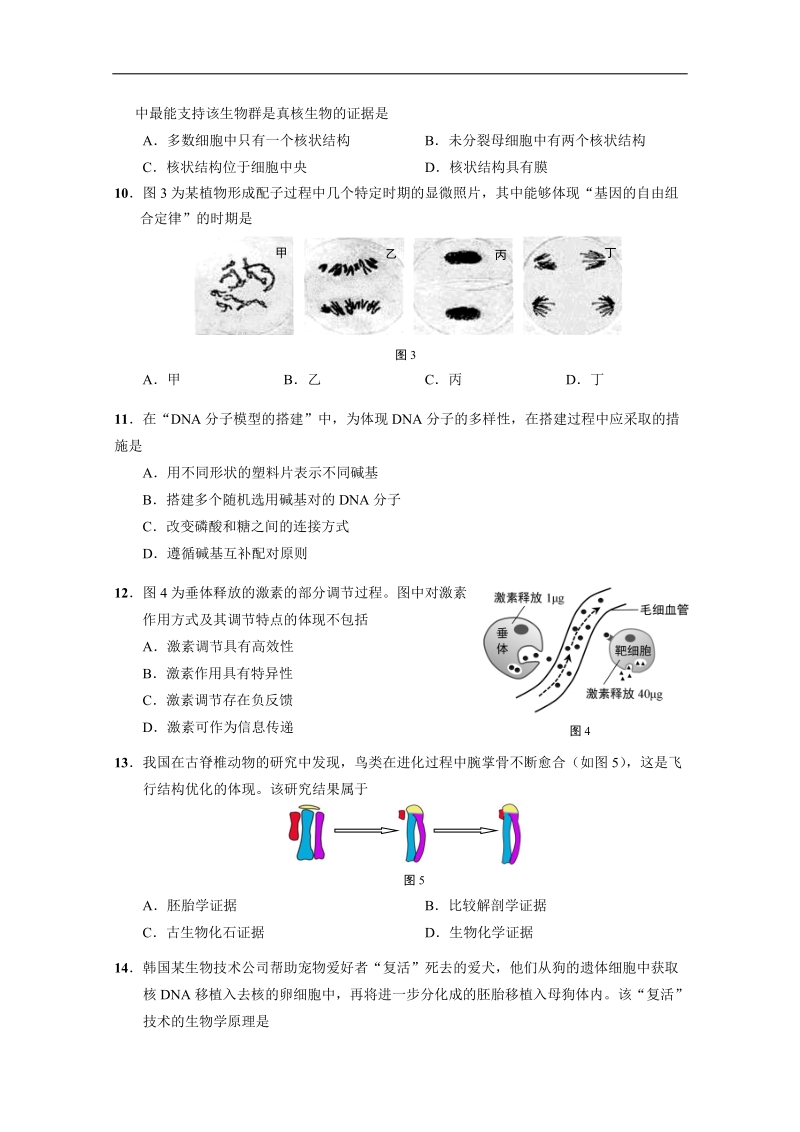 上海市崇明区2018届高三第一次模拟考试生命科学试题 word版含答案.doc_第3页