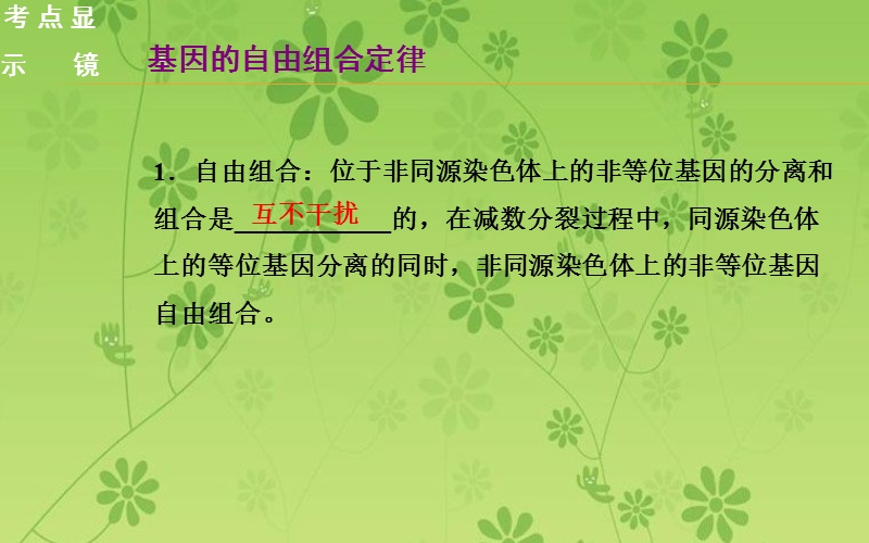 【金版学案】2015年广东省高中生物学业水平测试课件必修2第8单元第3讲基因的自由组合定律.ppt_第3页