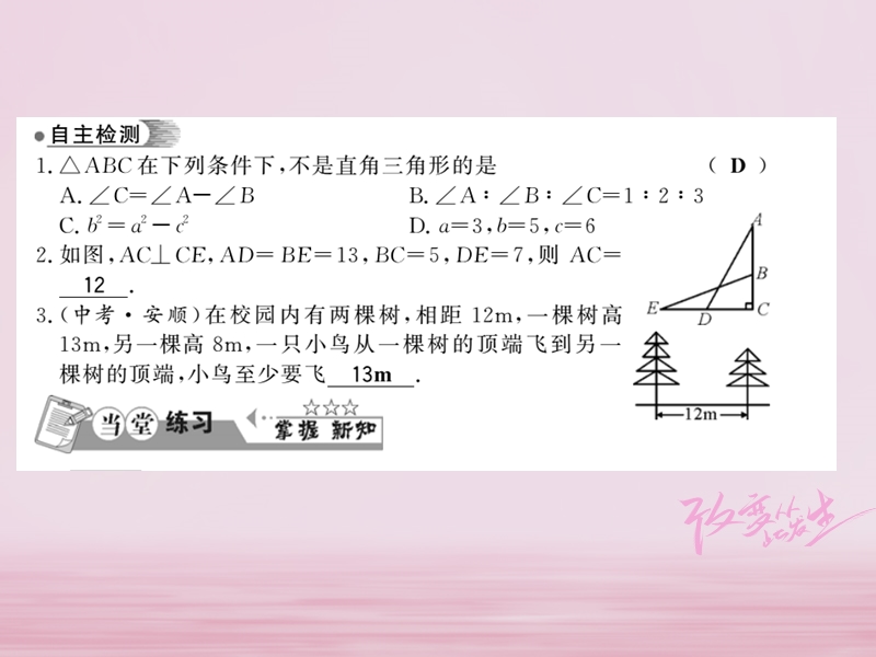 2018春八年级数学下册 第1章 直角三角形 1.2 直角三角形的性质与判定（ⅱ）（第3课时）习题课件 （新版）湘教版.ppt_第2页