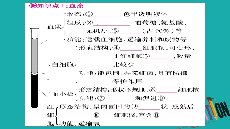 2018中考生物总复习 教材考点梳理 七下 第4单元 第4章 人体内物质的运输课件 新人教版.ppt_第2页