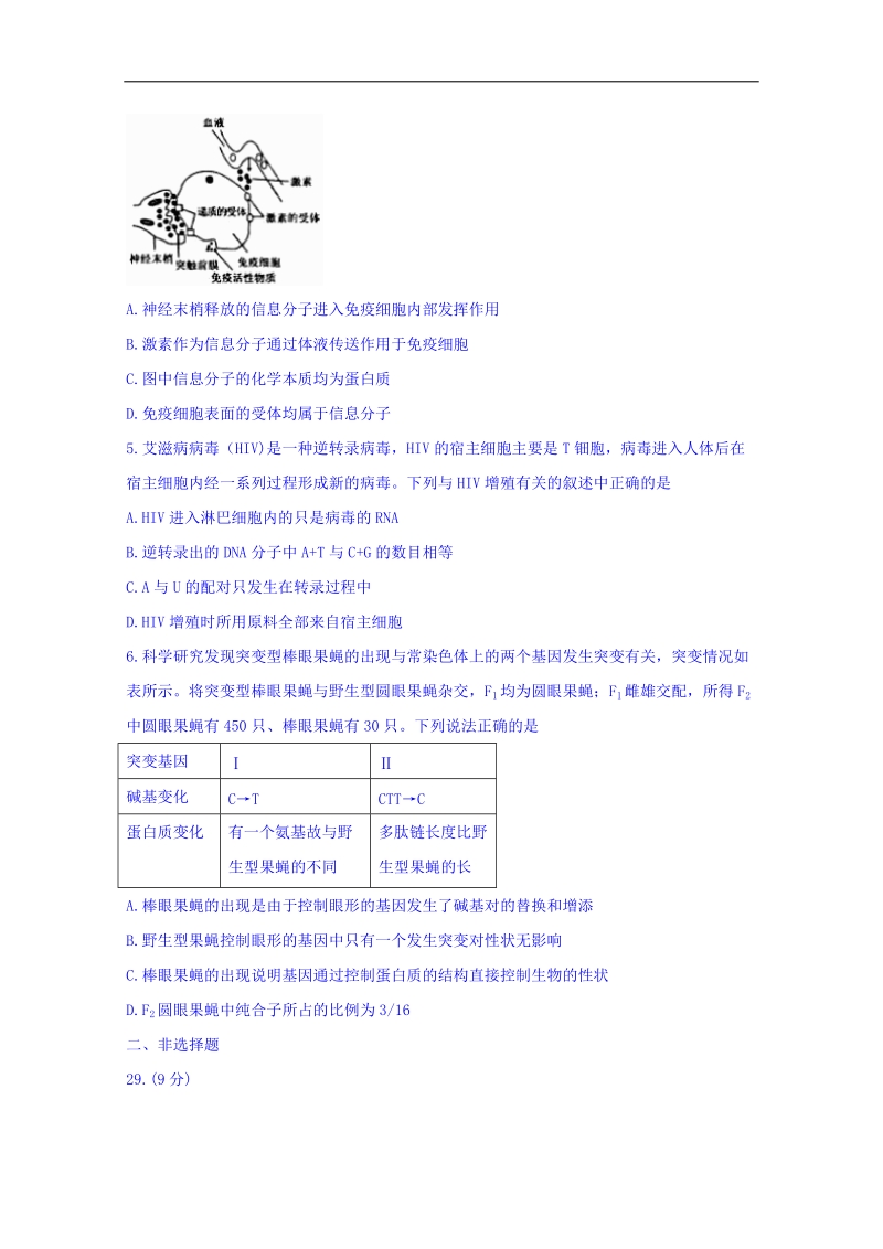 【衡水金卷】2018年普通高等学校招生全国统一考试模拟试题理综（二）生物试题 word版含答案.doc_第2页