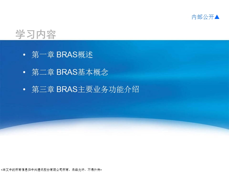 bras工作原理ppt.ppt_第3页