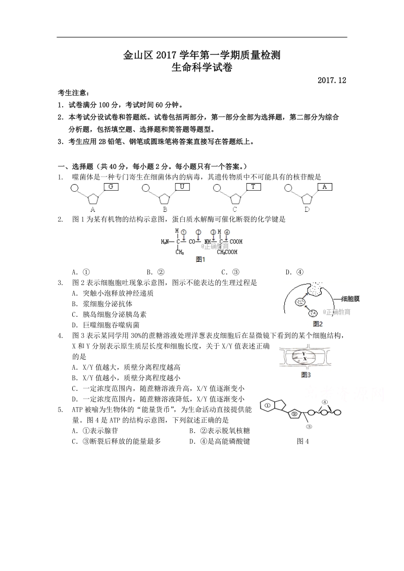 上海市金山区2018届高三上学期期末质量监控生命科学试卷 word版含答案.doc_第1页