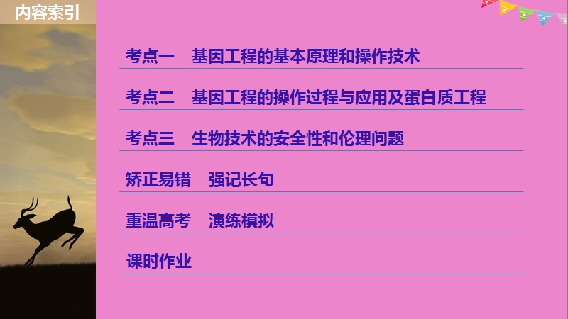 2019版生物高考大一轮复习 第十单元 现代生物科技专题 第36讲 基因工程与生物技术的安全性和伦理问题课件 北师大版.ppt_第3页