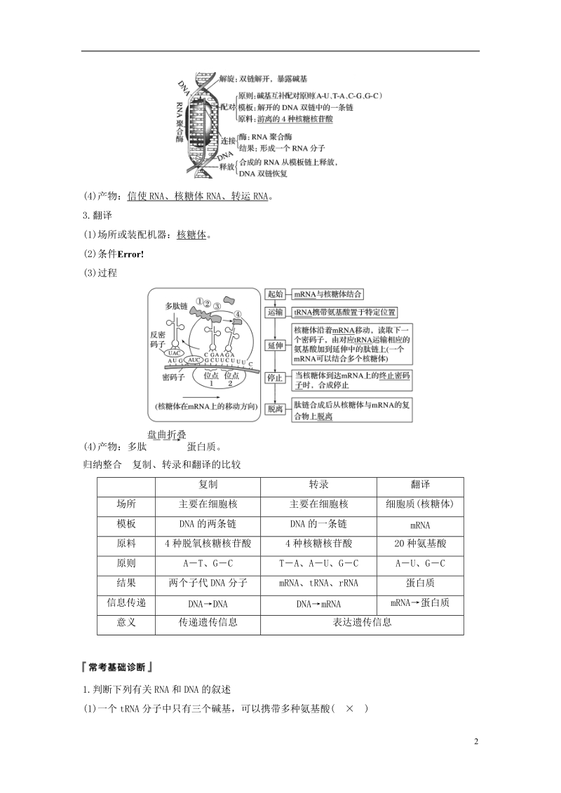 2019版生物高考大一轮复习 第五单元 遗传的分子基础 第16讲 遗传信息的表达学案 北师大版.doc_第2页