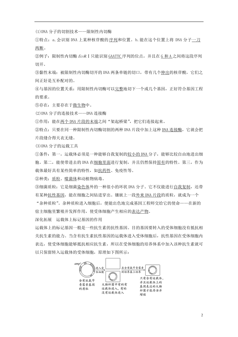 2019版生物高考大一轮复习 第十单元 现代生物科技专题 第36讲 基因工程与生物技术的安全性和伦理问题学案 北师大版.doc_第2页