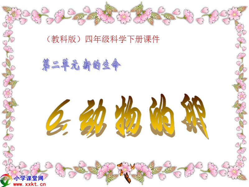 《动物的卵》课件.ppt_第1页