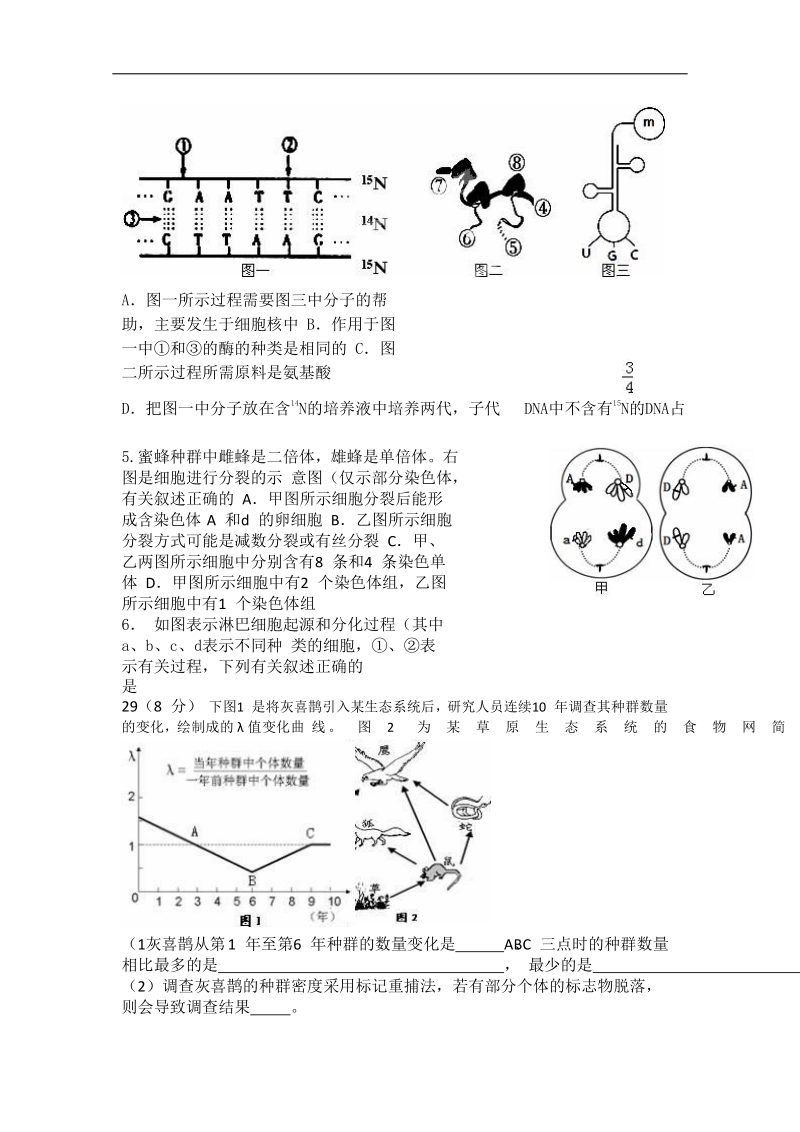 吉林省梅河口市第五中学2018届高三下学期第一次模拟考试理科综合生物试题 word版含答案.doc_第2页