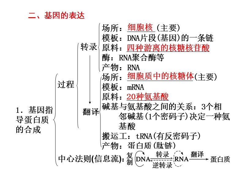 第一讲-遗传的物质基础.ppt_第2页