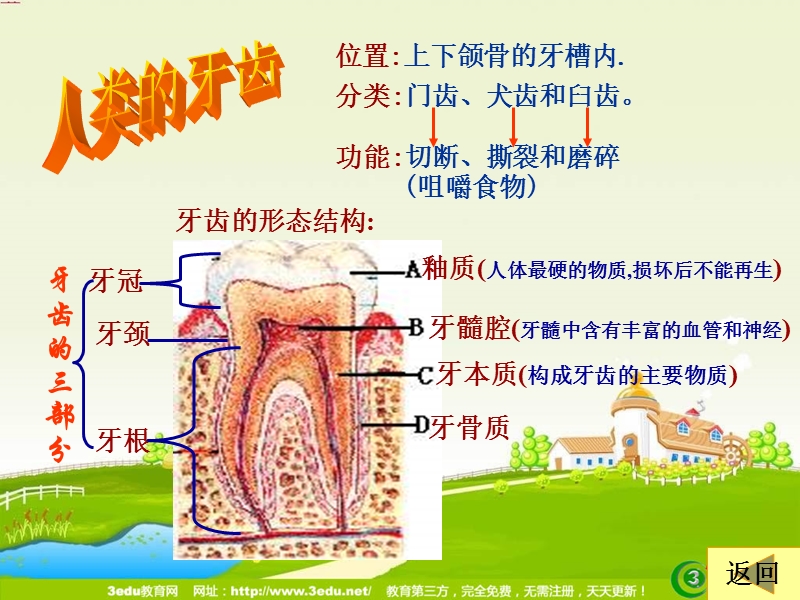 七年级生物消化和吸收-2.ppt1.ppt_第3页