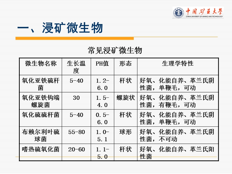 生物选矿及其进展.ppt_第3页