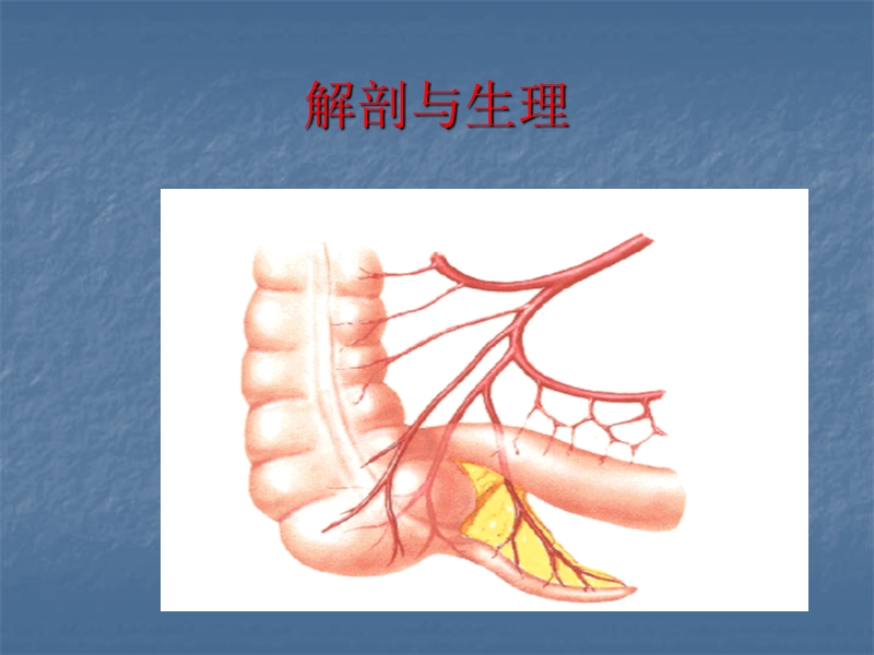 (阑-尾-炎)---肠梗阻.ppt_第3页