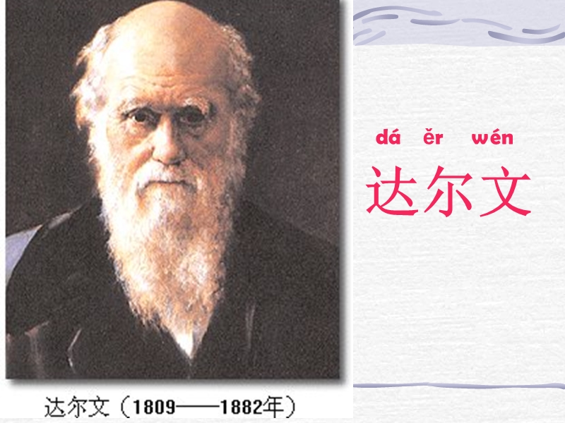 7、苏教版二年级上册《有趣的发现》ppt课件5.ppt_第1页