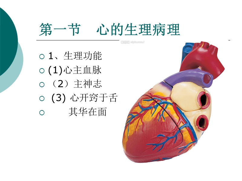 循证-稳心颗粒ppt.ppt_第2页