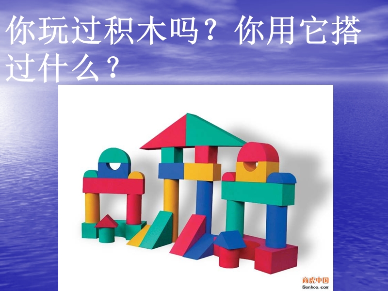 搭建生命体的积木.ppt_第2页