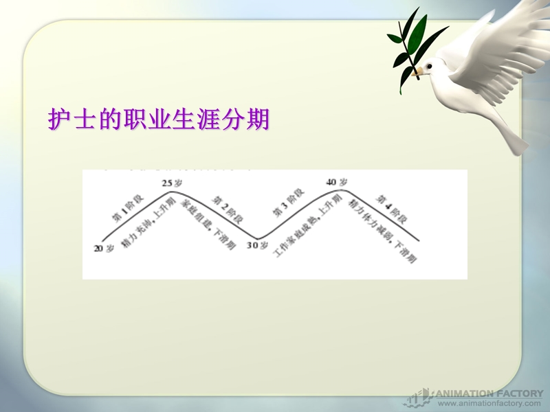 护士分层培训教学.ppt_第3页