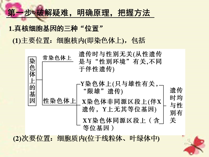 【创新设计】2017高考生物一轮复习-第6单元-遗传的分子基础-补上一课5-基因位置的确认及遗传实验设计课件.ppt_第2页