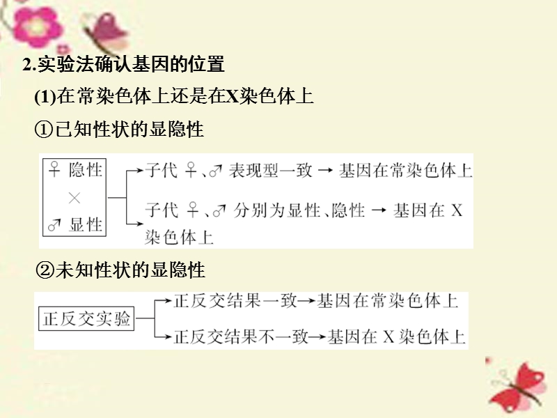 【创新设计】2017高考生物一轮复习-第6单元-遗传的分子基础-补上一课5-基因位置的确认及遗传实验设计课件.ppt_第3页