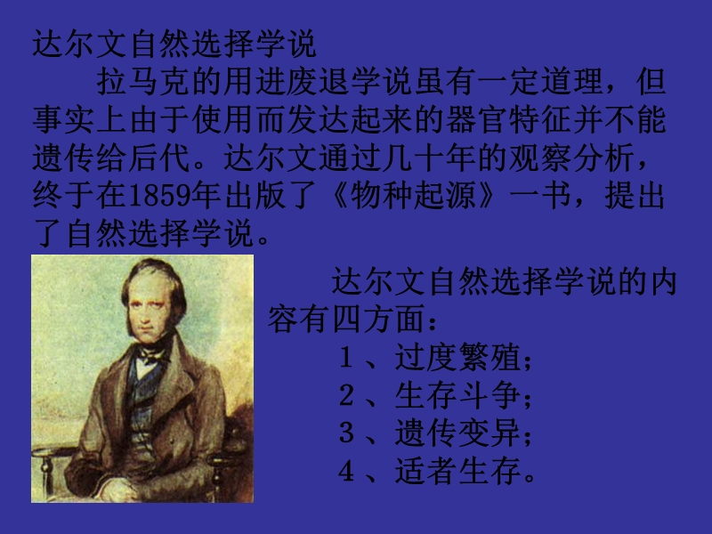 生物进化课件.ppt_第3页