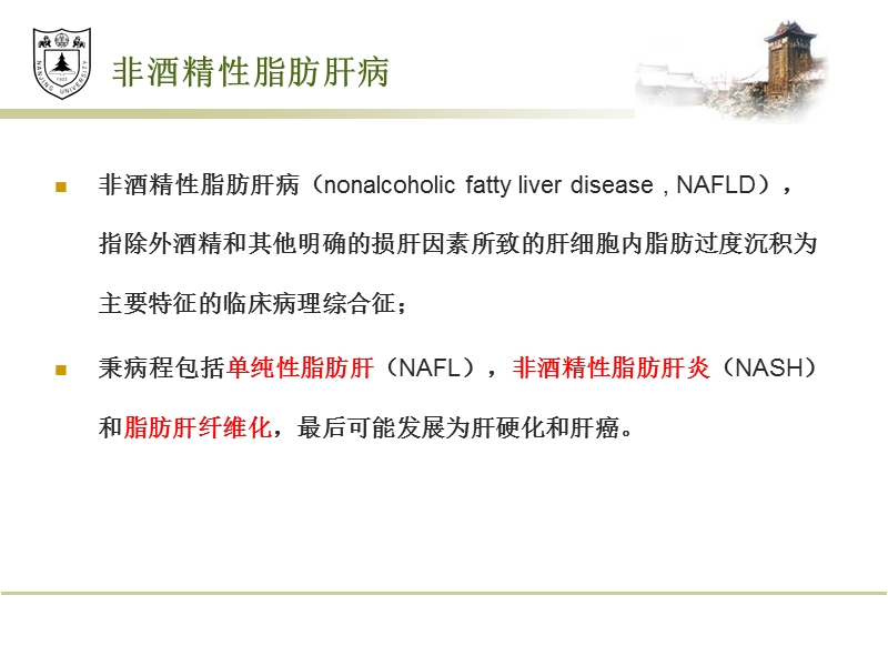 nafld的发病机制、研究进展及相关药物治疗.pptx_第3页