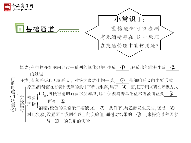 全品高考生物复习必修1--5-3.ppt_第2页