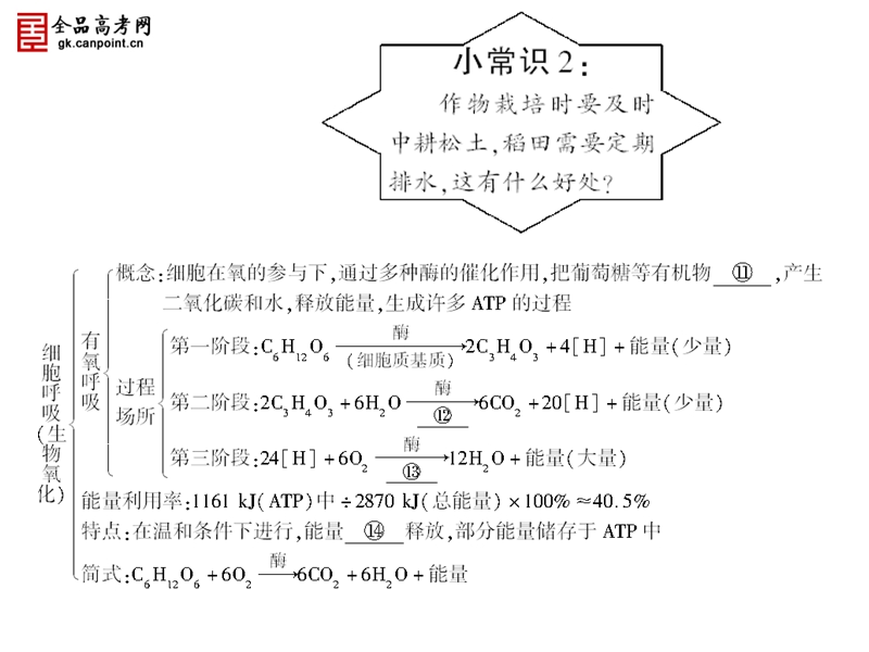 全品高考生物复习必修1--5-3.ppt_第3页