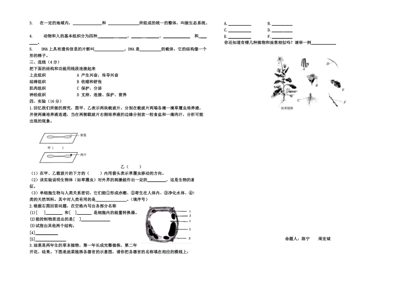 七年级生物第一学期期中考试试卷.doc_第2页