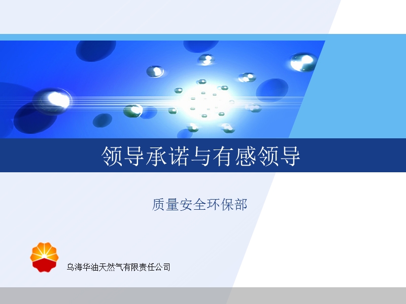 领导承诺与有感领导.ppt_第1页