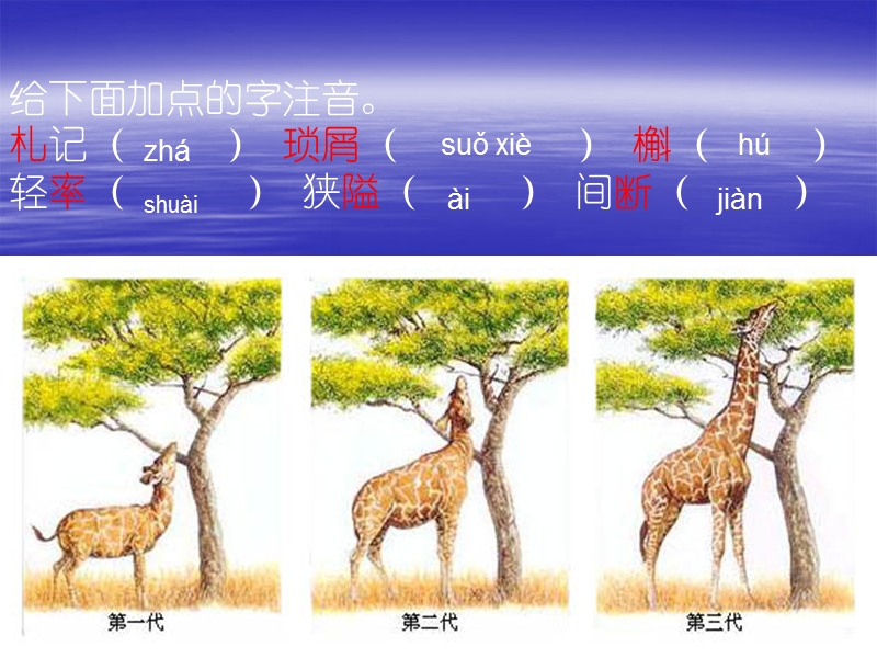 物种起源.pps_第3页