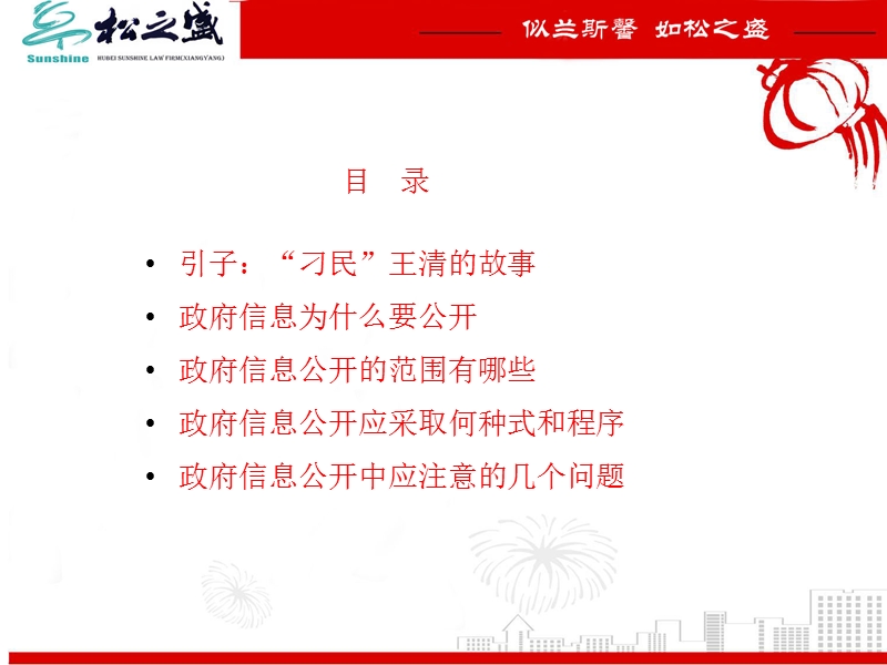 政府信息公开的几个法律问题.ppt_第2页