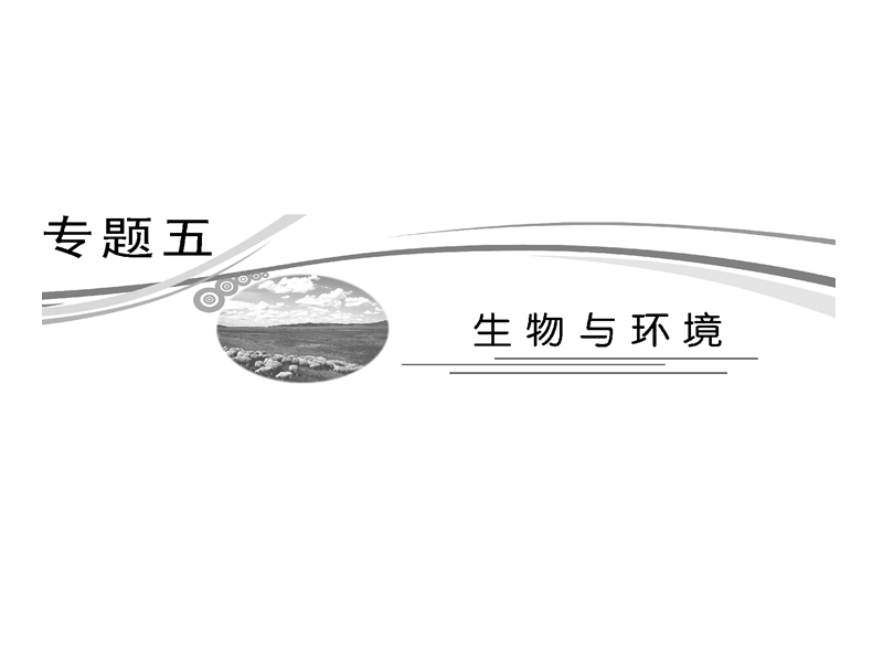 生物与环境.ppt_第1页