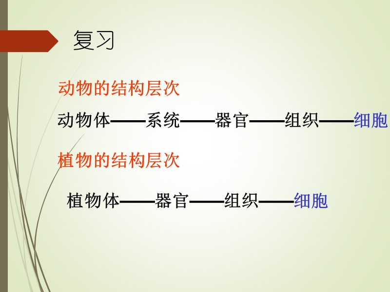 第四节单细胞生物体.ppt_第2页