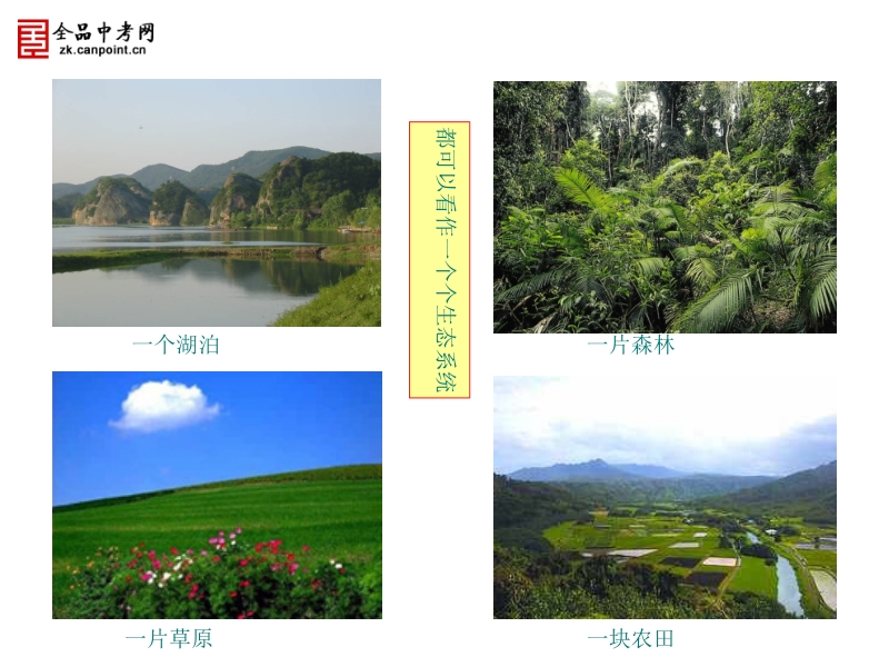 【精品课件一】第二节 生物与情况构成生态系统n.ppt_第3页