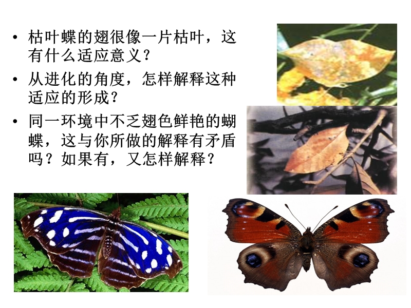 7.1《现代生物进化理论的由来.ppt_第2页