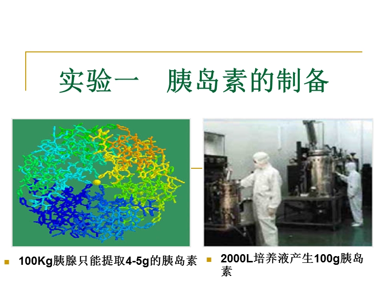 生物制药实验.ppt_第2页